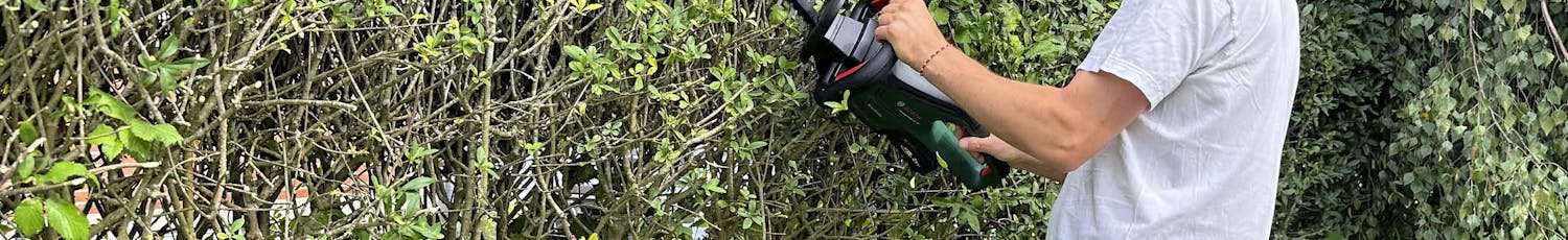 Test av häcksaxar Test av häcksaxar